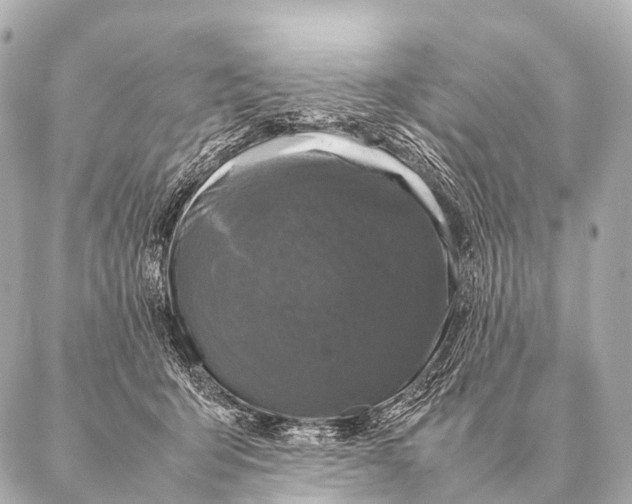 X0000087020415200705141901