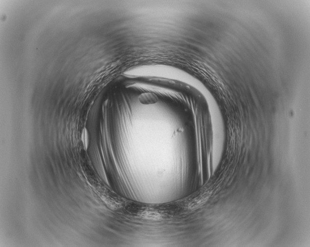 X0000087020416200705141901