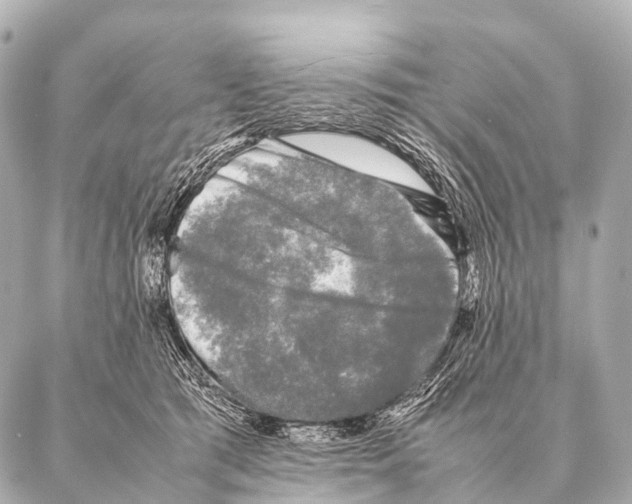 X0000087020417200705141901