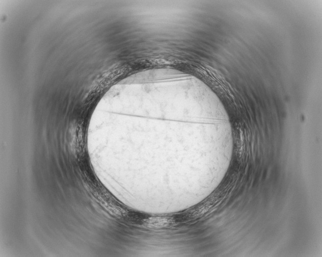 X0000087020418200705141901