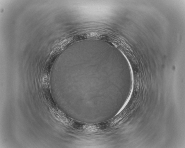 X0000087020419200705141901