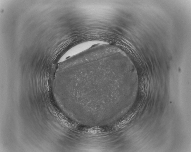 X0000087020420200705141901