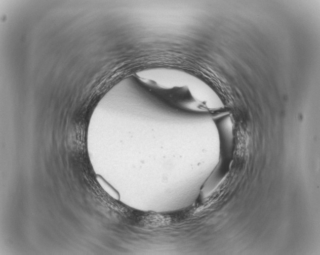 X0000087020421200705141901