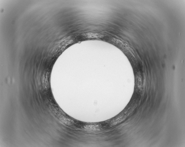 X0000087020422200705141901