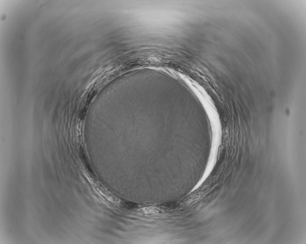 X0000087020423200705141901