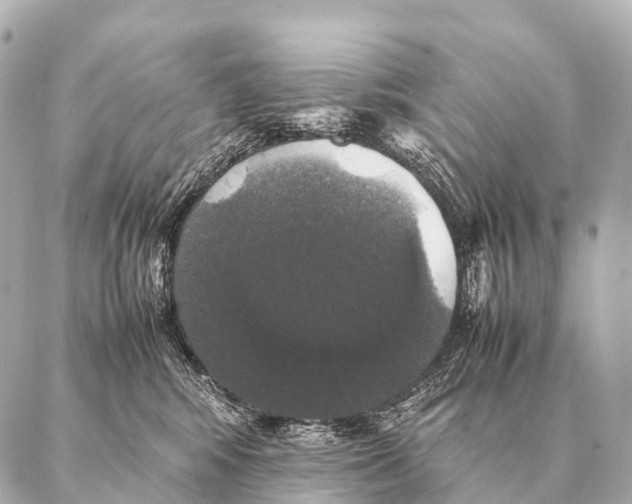 X0000087020424200705141901