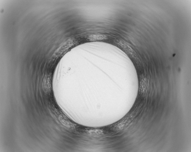 X0000087020426200705141901