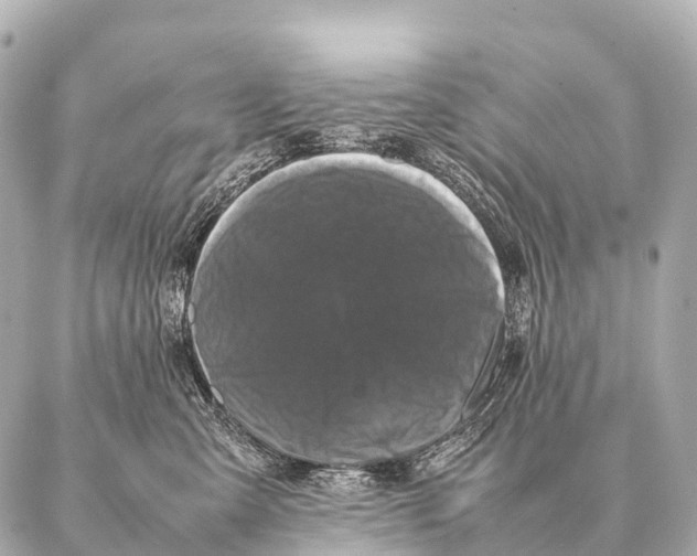 X0000087020427200705141901