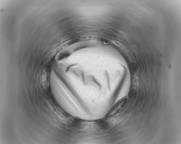 X0000087020428200705141901