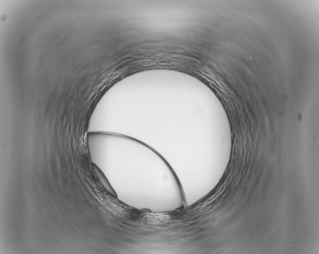 X0000087020429200705141901