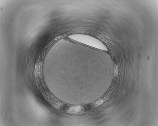 X0000087020431200705141901