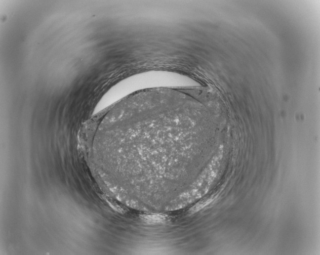 X0000087020432200705141901