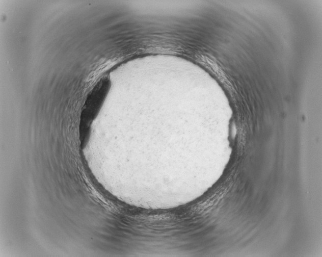 X0000087020433200705141900