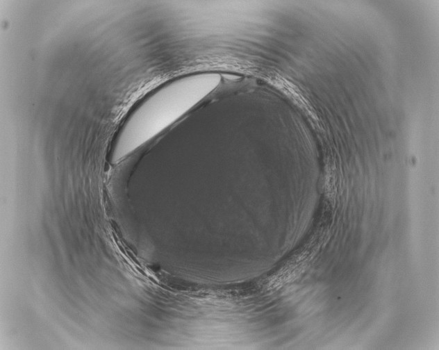 X0000087020434200705141900