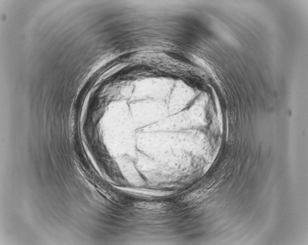 X0000087020435200705141900