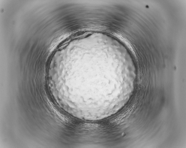 X0000087020437200705141900