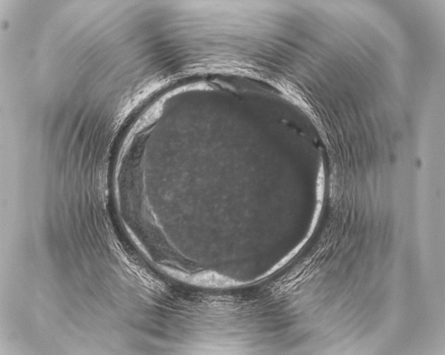 X0000087020438200705141900