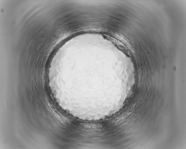 X0000087020439200705141900