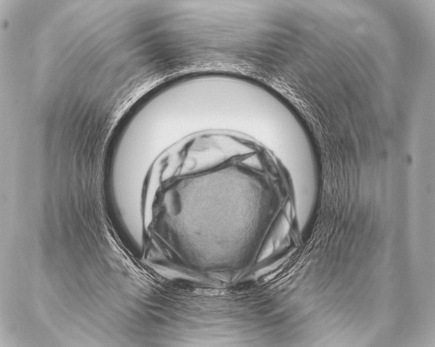 X0000087020440200705141900