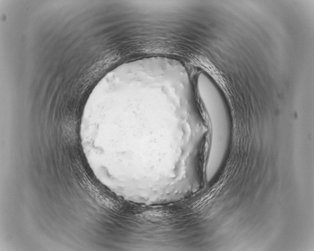 X0000087020441200705141900