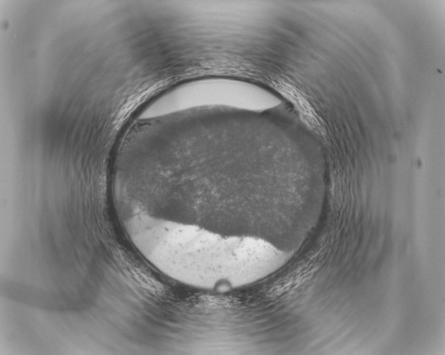 X0000087020442200705141900