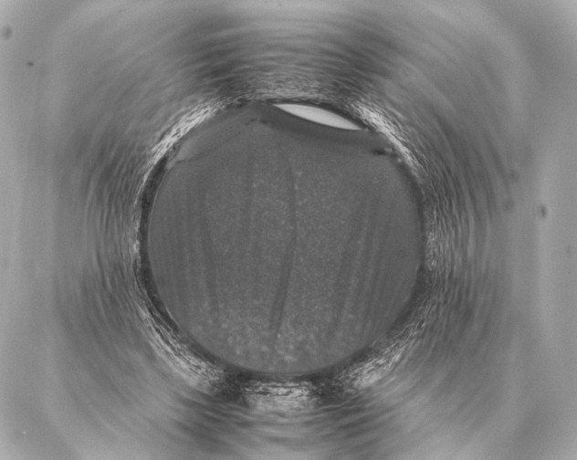 X0000087020443200705141900