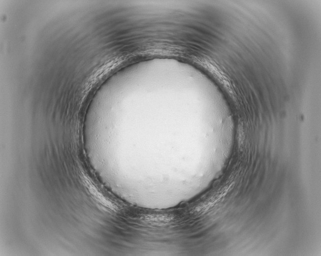 X0000087020445200705141900