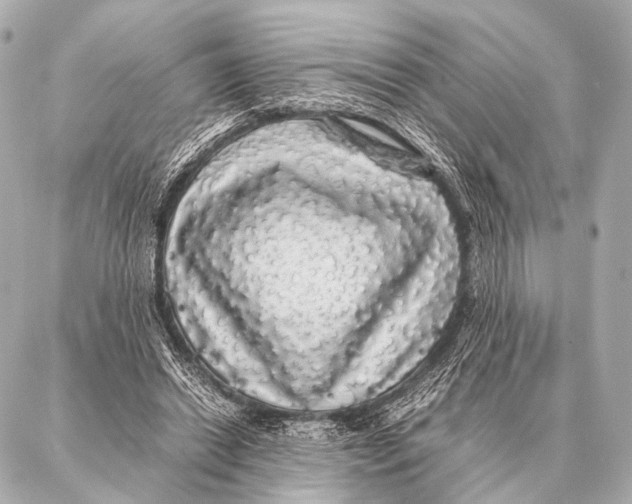 X0000087020446200705141900