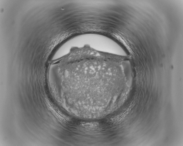 X0000087020447200705141900