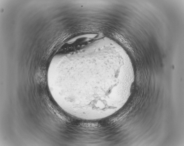 X0000087020449200705141900