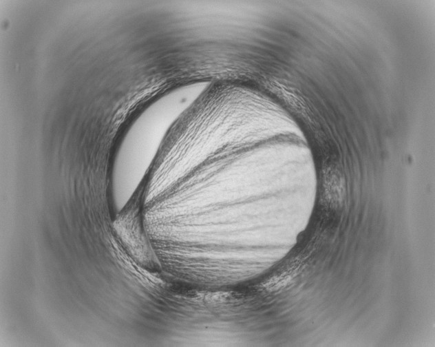 X0000087020450200705141900