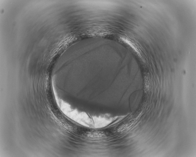 X0000087020451200705141900