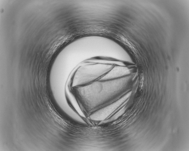 X0000087020452200705141900