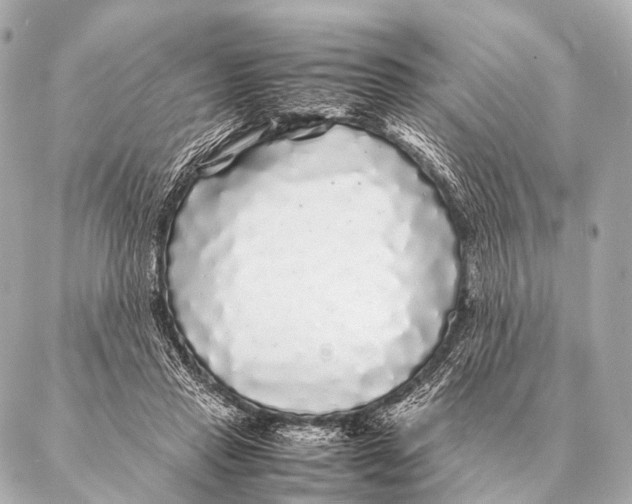 X0000087020453200705141900