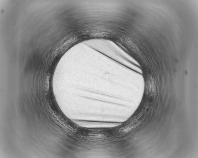 X0000087020454200705141900