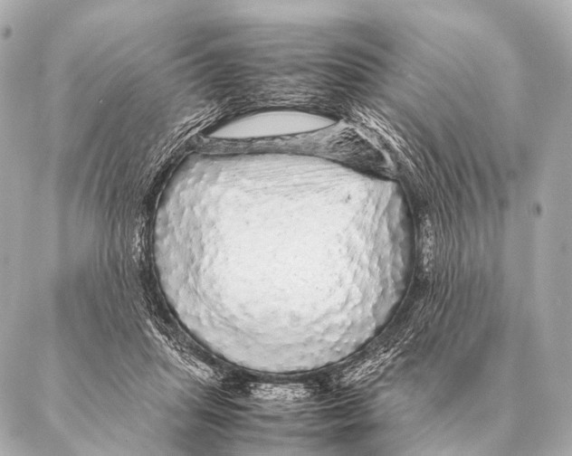 X0000087020455200705141900