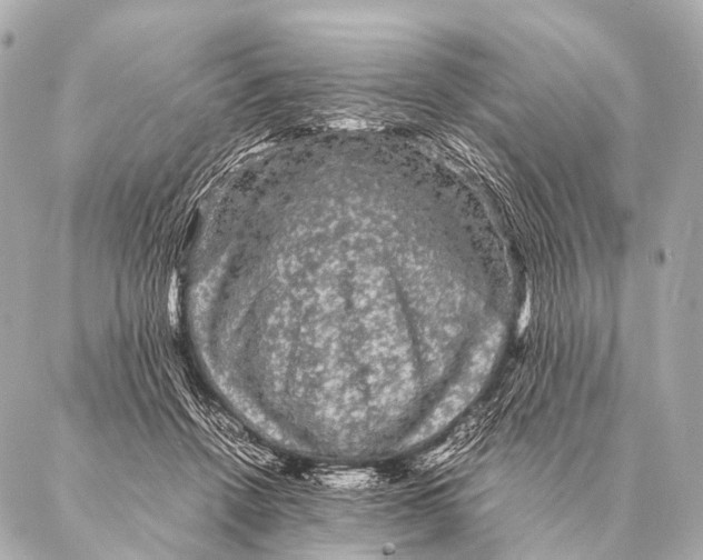 X0000087020456200705141901