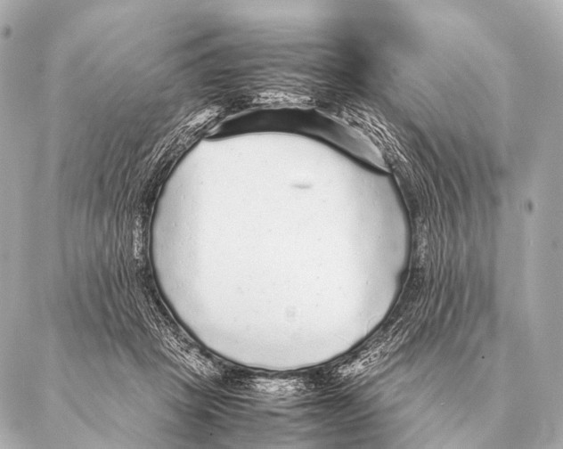 X0000087020457200705141901