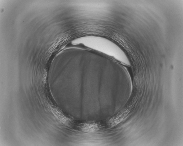 X0000087020458200705141901