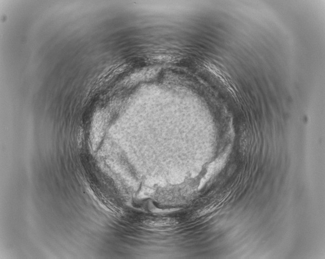 X0000087020459200705141901