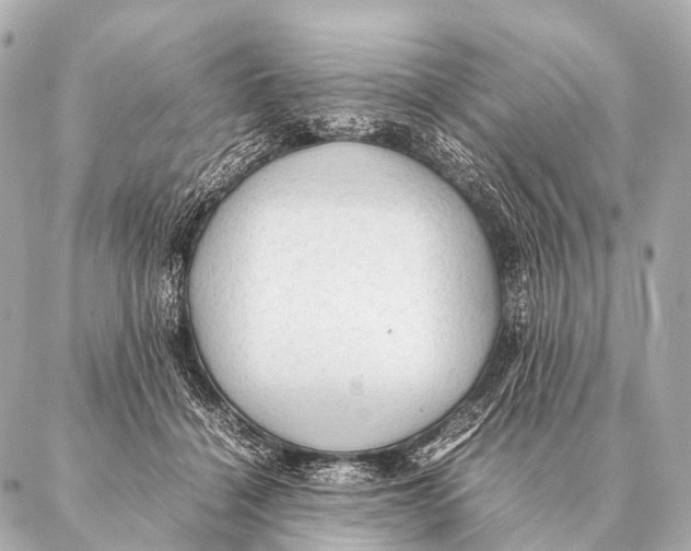 X0000087020460200705141901