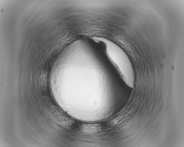 X0000087020461200705141901