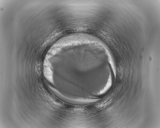 X0000087020462200705141901