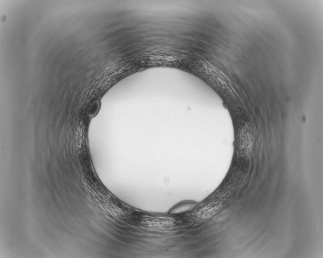 X0000087020463200705141901