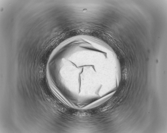 X0000087020464200705141901