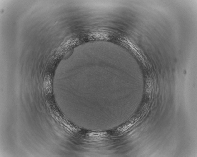 X0000087020465200705141901