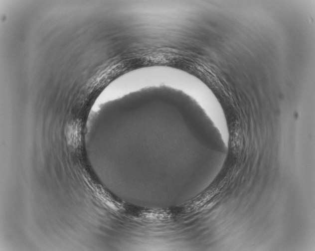 X0000087020466200705141901