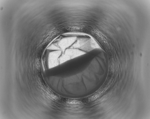 X0000087020467200705141901