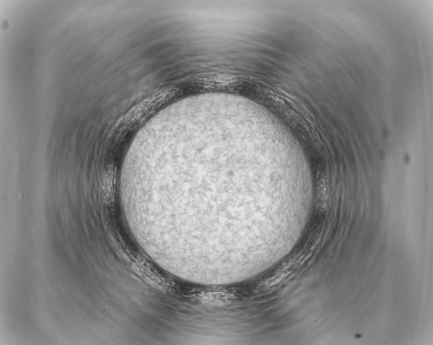 X0000087020468200705141901