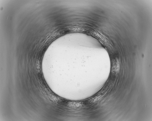 X0000087020469200705141901